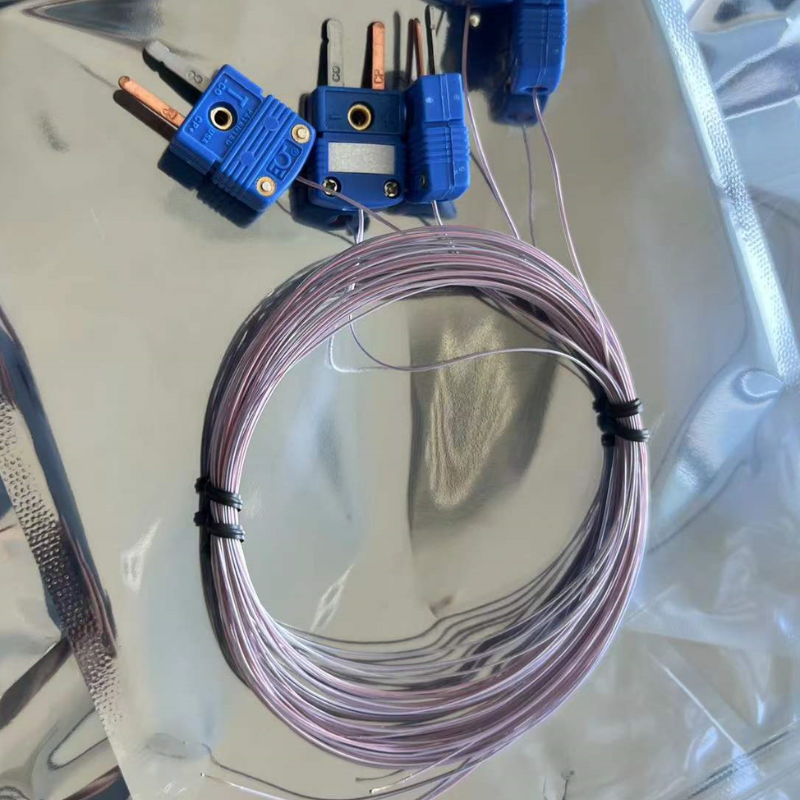 Typ-T-Thermoelement-Sonde für Labor- und Analysegeräte