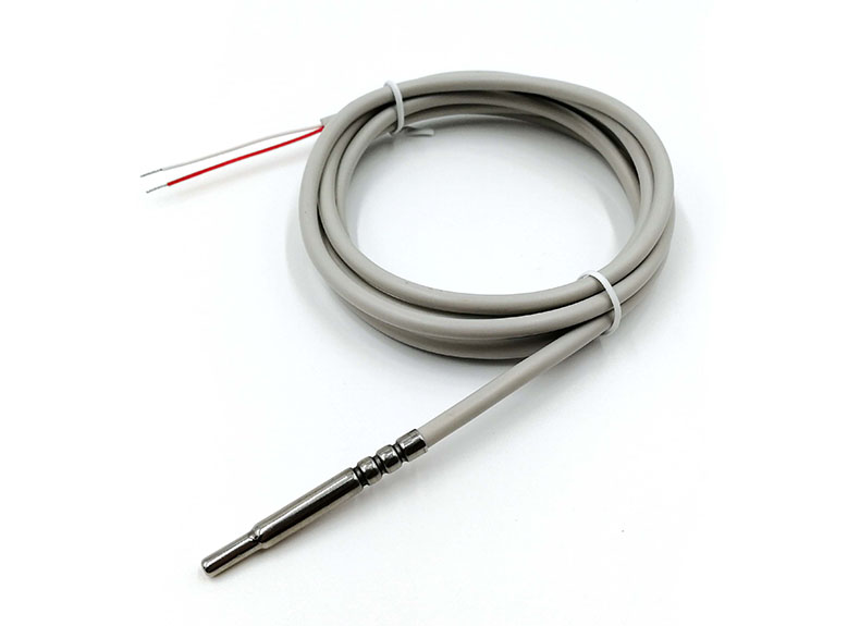 Wasserdichter PT1000 RTD Temperatursensor (2-Wire)