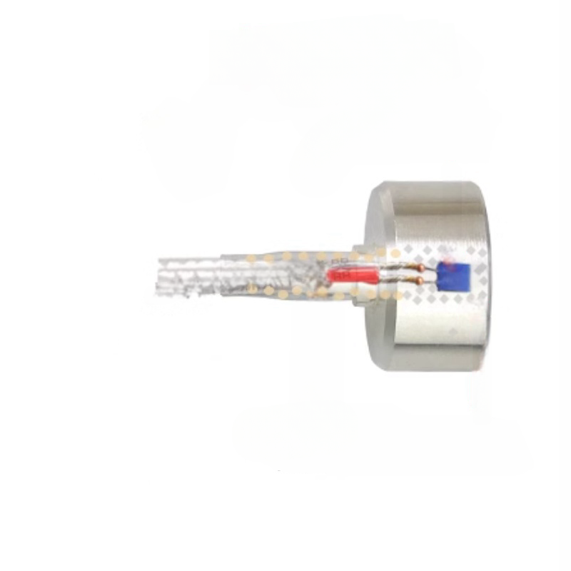 Magnetischer PT1000 RTD-Temperatursensor für industrielle Steuerung